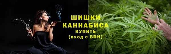 гидра Вязники