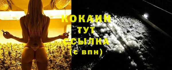 гидра Волоколамск