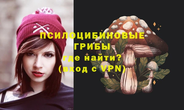 молекула духа Володарск