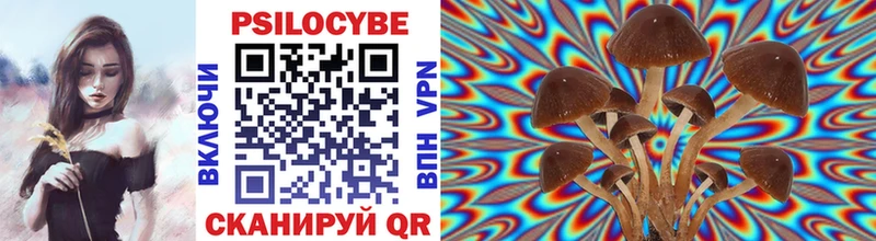 Галлюциногенные грибы Psilocybe  Каменск-Уральский 